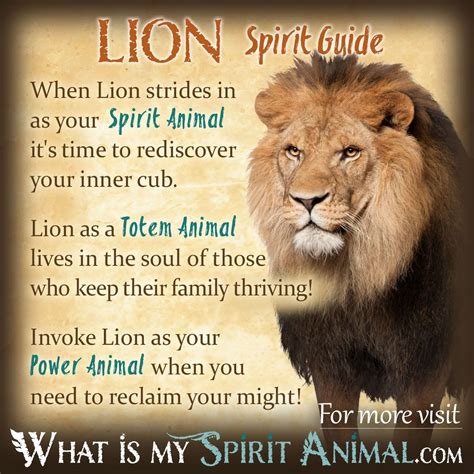 Meet your #SpiritAnimal! Take the real, fun & accurate Spirit Animal ...