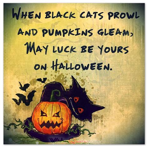 40 Funny Halloween Quotes, Scary Messages And Free Cards | Happy ...