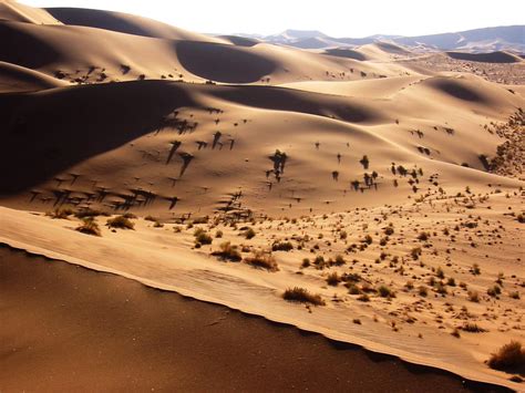 File:Namib Desert Namibia(1).jpg - Wikimedia Commons