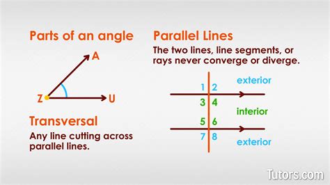 Alternate Interior Angles - Definition, Theorem & Examples