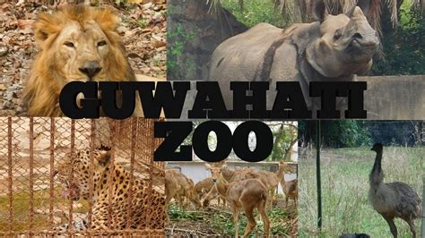 GUWAHATI ZOO | The Assam State Zoo and Botanical Garden | Manas Deka ...