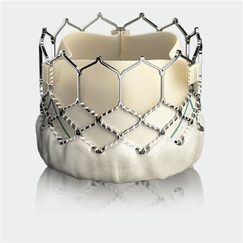 Aortic valve bioprosthesis - SAPIEN 3 - Edwards Lifesciences - bovine ...