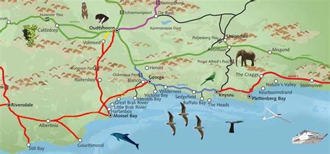 Maps of The Garden Route | South africa travel, Route, Route map