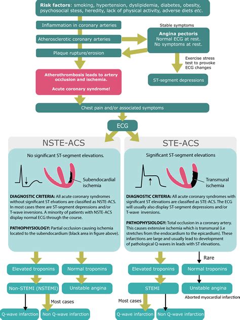 NSTEMI (Non ST Elevation Myocardial Infarction) & Unstable Angina ...