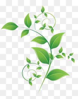 2020 的 Green Leaf Vector, Tea Pattern, Decorative Pattern, Leaf Pattern ...