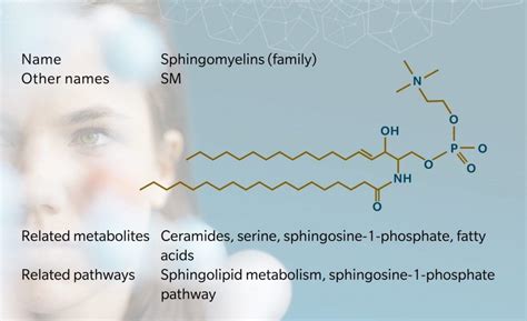 Metabolite of the month – Sphingomyelins - biocrates life sciences ag