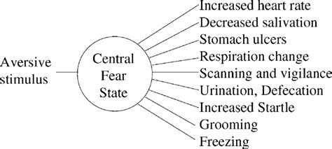 The aversive stimulus activates a central fear system that produces a ...