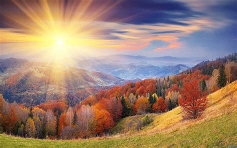 Free Best Pictures: Autumn Forest Sunrise Wallpapers - 2560 x 1600 Wide