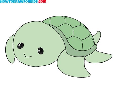 How To Draw A Cartoon Tortoise - Chargeagency24