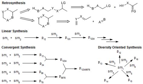 Organic Synthesis