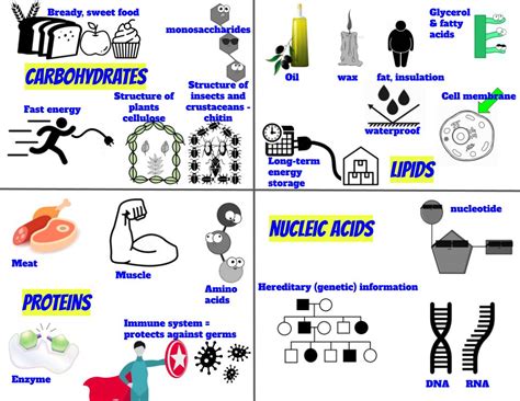 Biology - Home