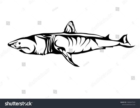 Great White Shark Silhouette Isolated On Stock Vector (Royalty Free ...