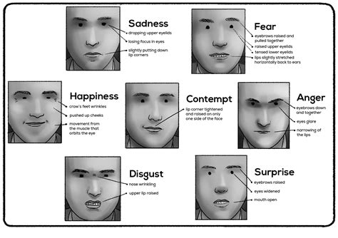 Facial Expressions of Emotions (Microexpressions) - Practical Psychology