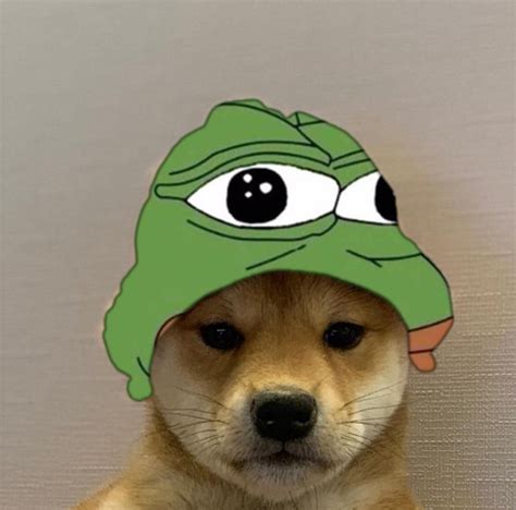 Pin on Doge wit hat