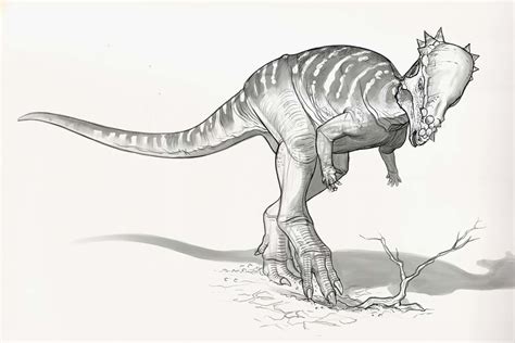 Draw Dinovember Day 25 Pachycephalosaurus, Raul Ramos | Dinosaur ...