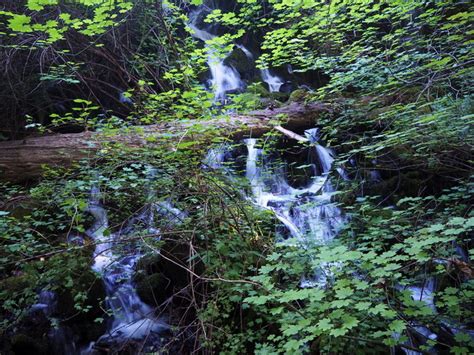 Lost Creek Lake Trail Hiking Trail, Prospect, Oregon