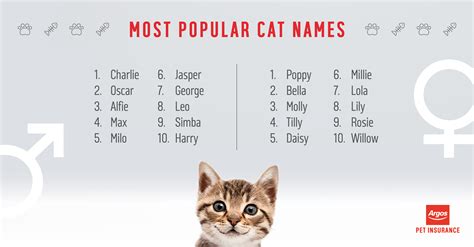 Most Common Cat Names | Hot Sex Picture