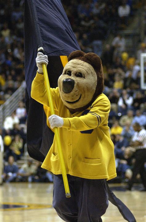 Oski Waving the Cal Flag Getting Ready for Game Time! | Cal bears, Cal ...