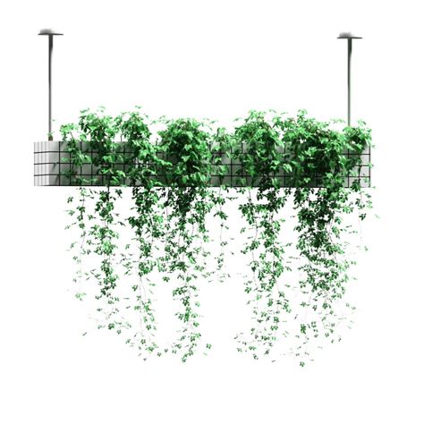 Plants In Hanging Flower Pots. 5 Models - 3D Model for VRay, Corona