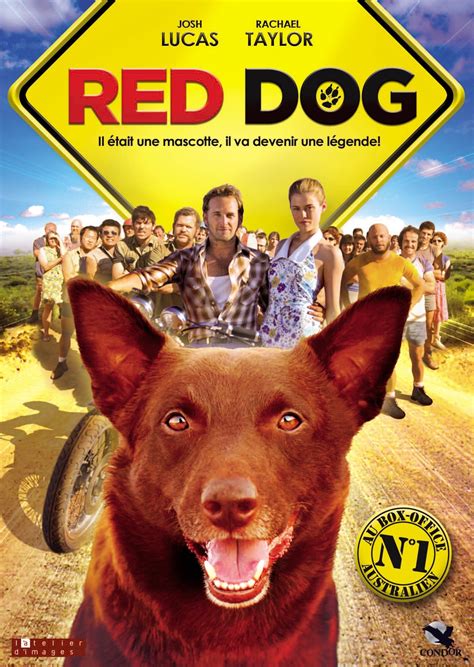 Red Dog streaming sur voirfilms - Film 2011 sur Voir film