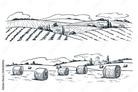 Farming fields landscape, vector sketch illustration. Agriculture and ...