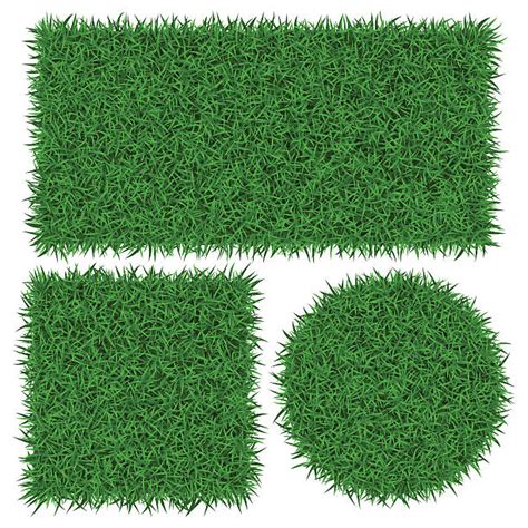 1,300+ Grass Lawn Circle Stock Illustrations, Royalty-Free Vector ...