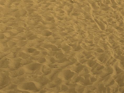 Golden Beach Sand Texture Free Stock Image (Ground-Dirt-And-Sand ...