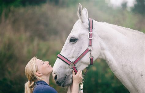 Cute Baby White Horse