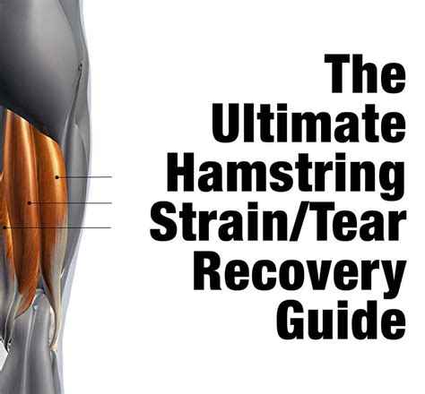 Hamstring Tear Grades