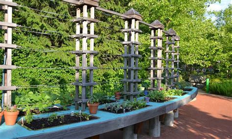 Raised Bed Trellis Ideas For Saving Space - Epic Gardening