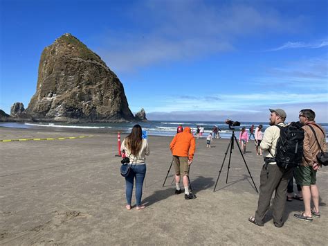 Cougar on Oregon’s Haystack Rock was likely searching for snacks ...