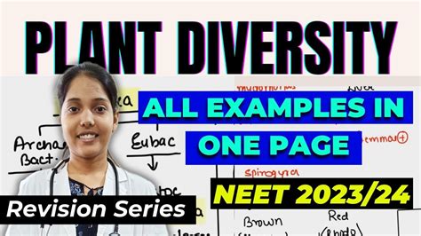 “Plant Diversity“ All examples in one page || Revise with me - Day 2 ...