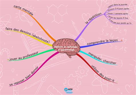 Carte mentale La mémoire CP CE1 CE2 CM1 CM2 - Maître Lucas