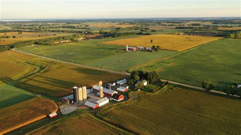 Aerial view of farm, red barns, corn field in September. Harvest season ...