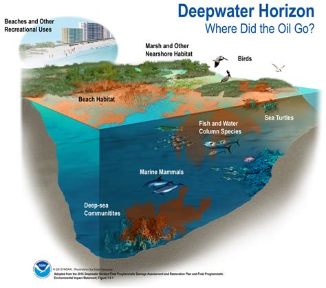 The Deepwater Horizon Oil Spill Restoration Is Still Ongoing ...