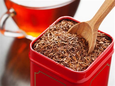 Growing A Rooibos Tea Plant - Rooibos Growing Conditions And Care