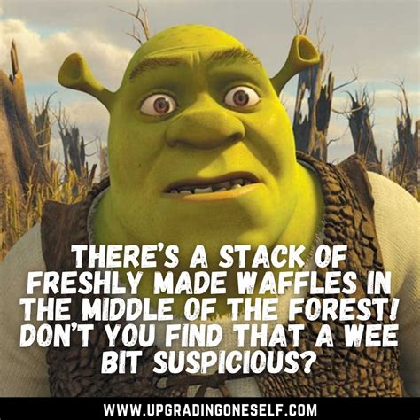 Top 15 Mind-Blowing Quotes From The Shrek Movies - Upgrading Oneself