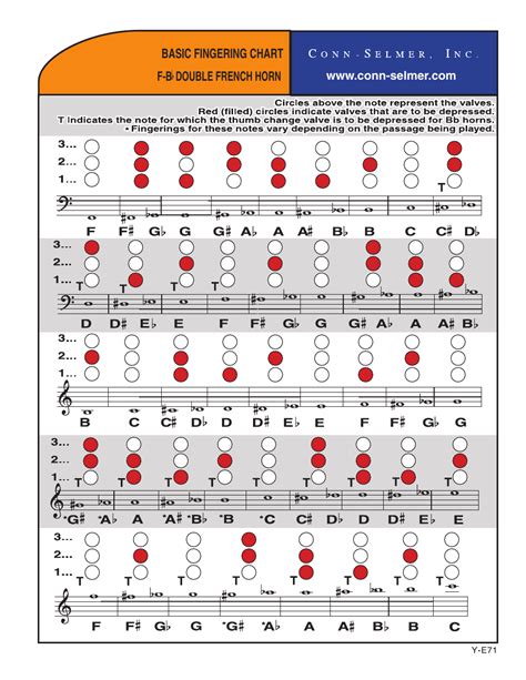 French horn chromatic scale - sekapics