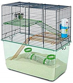 5 Best Gerbil Cages Review + Cage Setup