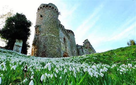 Magical snowdrops at Benington Lordship Gardens – Biggsy Travels