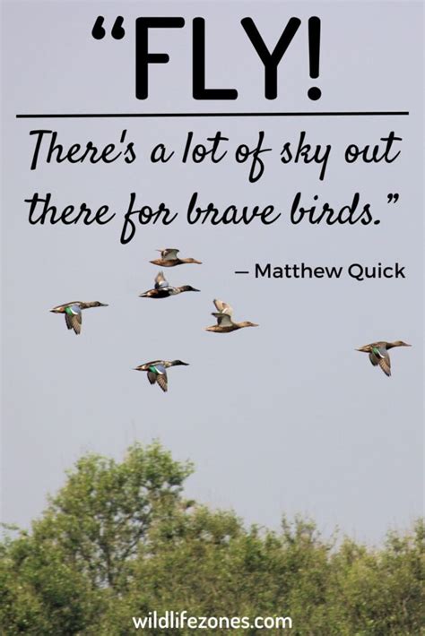 115 Inspirational Bird Quotes and Sayings | WildlifeZones