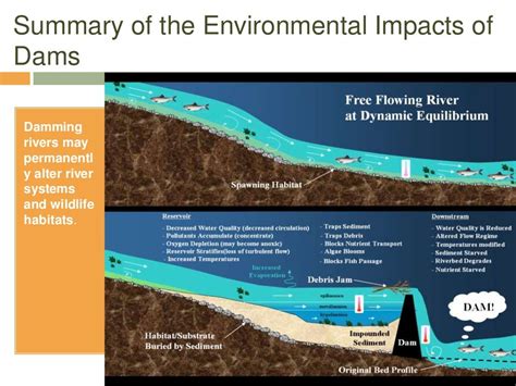 Environmental impacts of hydroelectric power