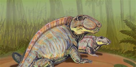 Early Reptiles Carboniferous Period