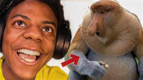 IShowspeed searches Long Noise Monkey - YouTube