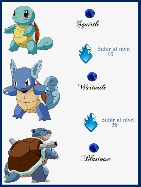 003 Squirtle Evoluciones by Maxconnery on DeviantArt