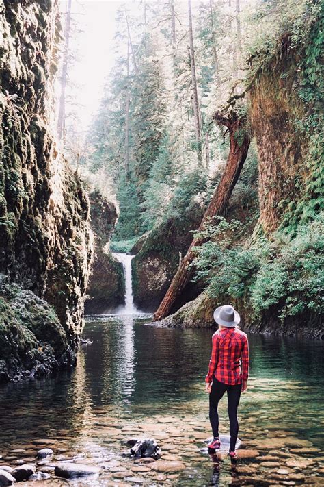 Here are 10 of our favorite Oregon waterfall hikes that are a must for ...