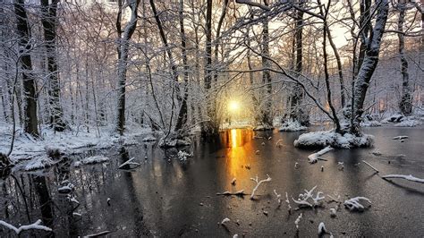 nature, Landscape, Cold, Winter, Sunrise, Snow, Forest, Frost, Sunlight ...