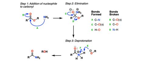 Formation of Amides From Esters – Master Organic Chemistry