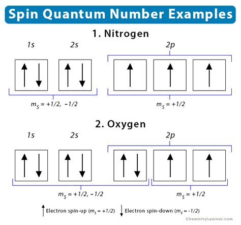 Spin Quantum Number: Definition, Significance, and Value