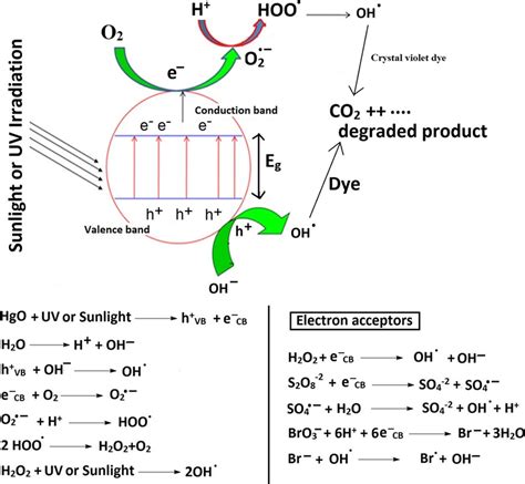 Mechanism of the photocatalytic degradation process | Download ...